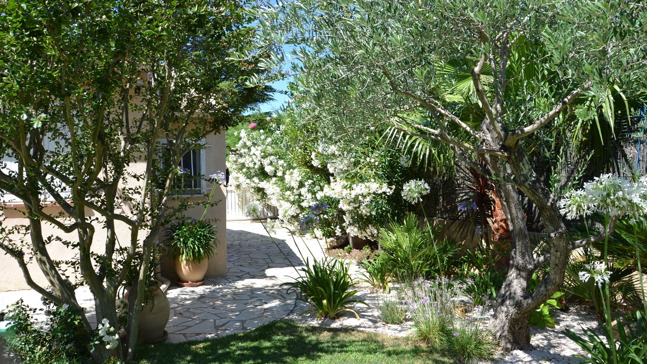Photo of Outdoor in Les Issambres