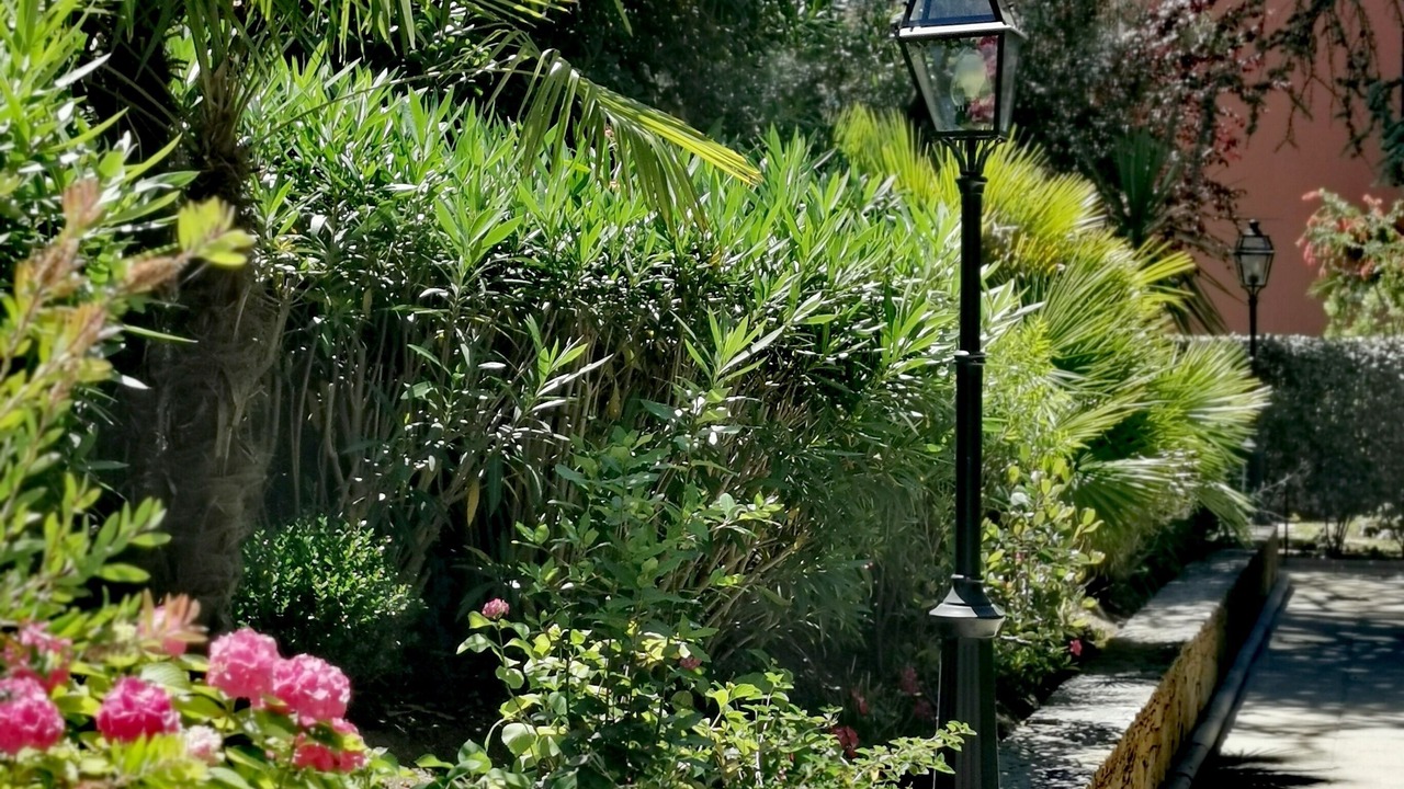 Photo of Outdoor in Saint-Tropez