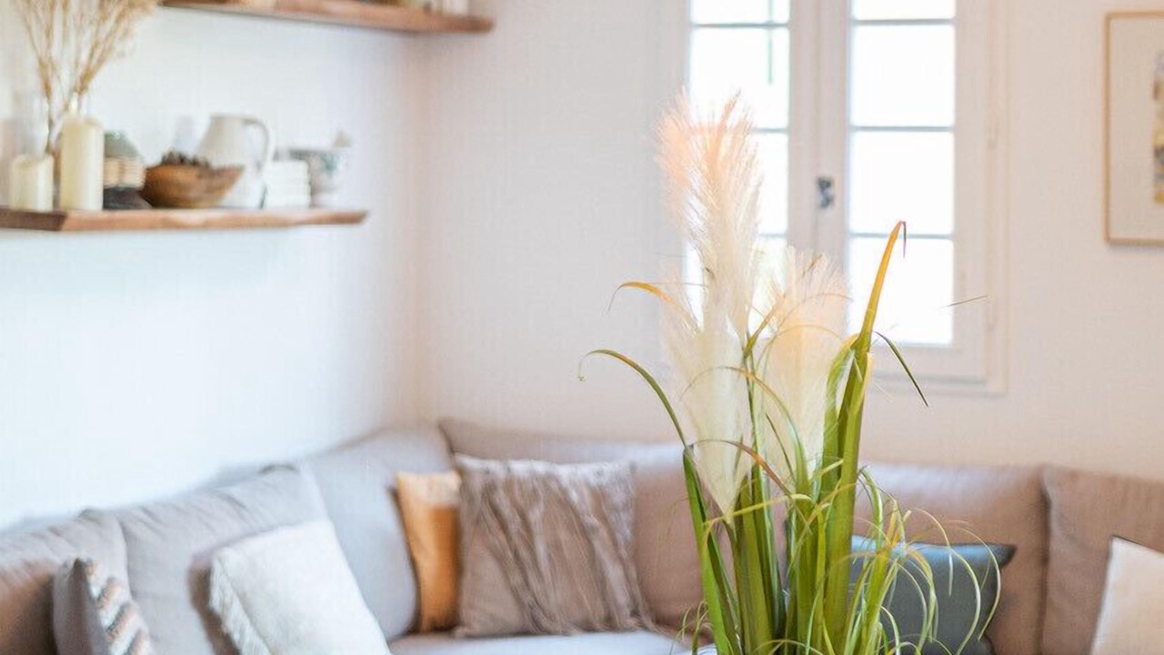 Photo of Livingroom in Saint-Tropez