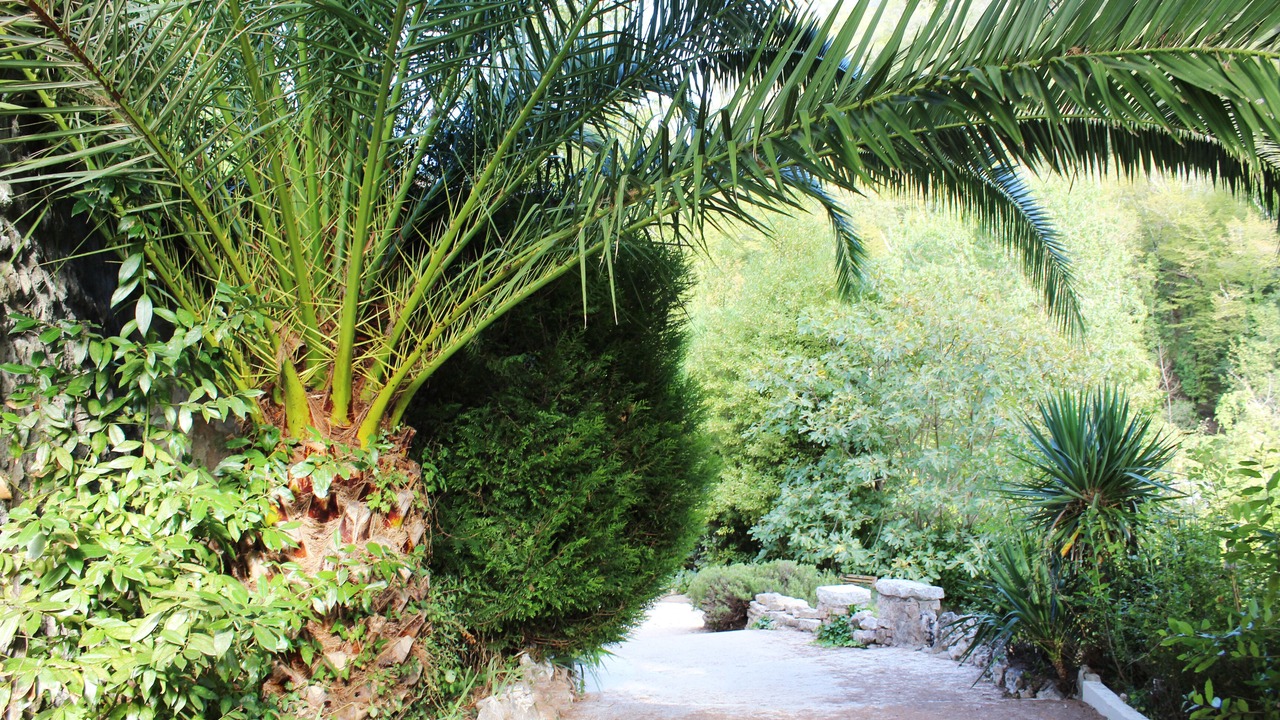 Photo of Outdoor in La Colle-sur-Loup