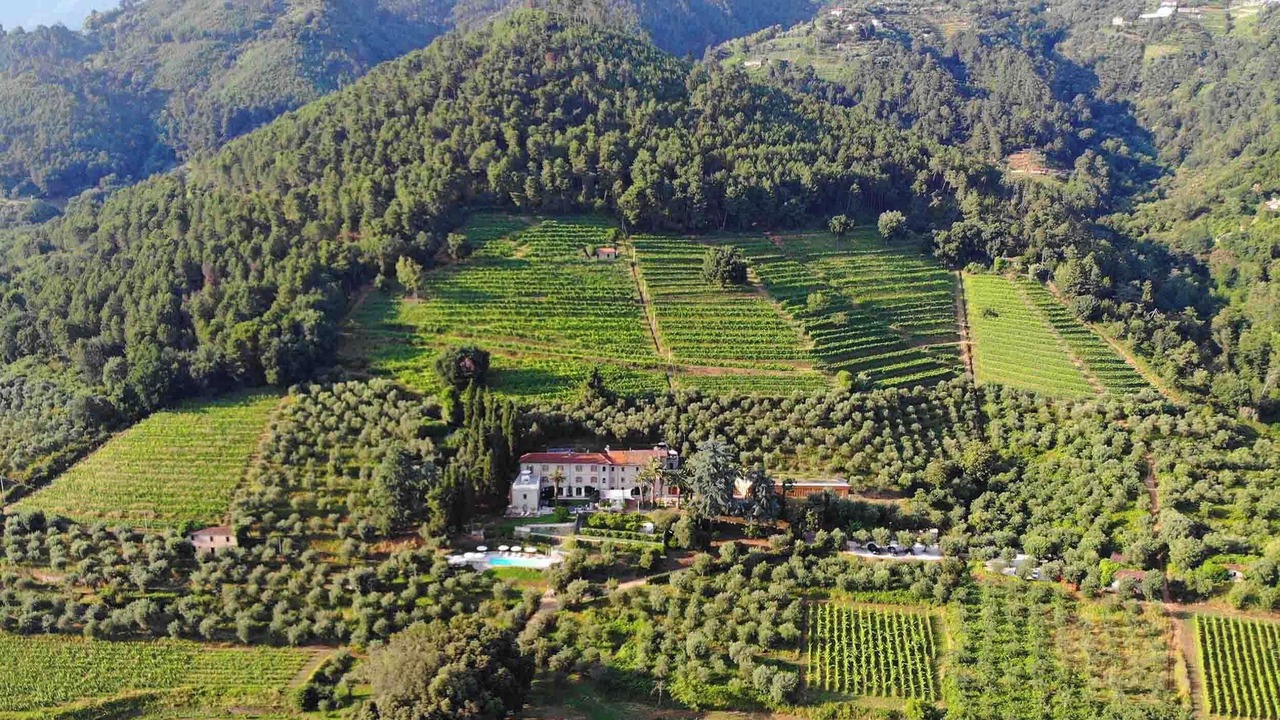 Photo of Outdoor in Montignoso