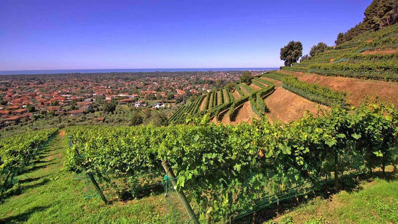 Photo of Outdoor in Massa