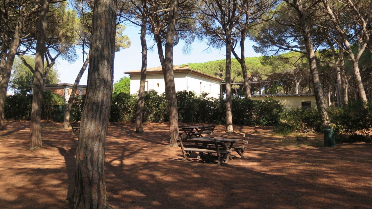Photo of Outdoor in Mazzanta