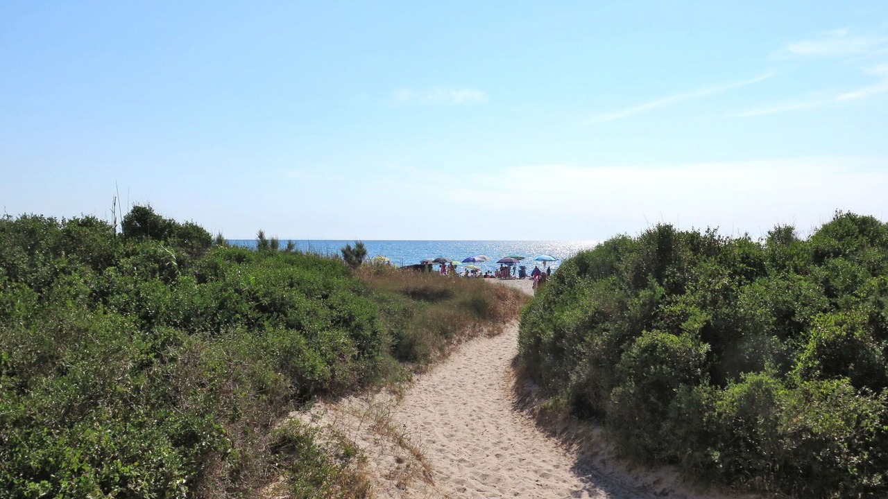 Photo of Outdoor in Mazzanta