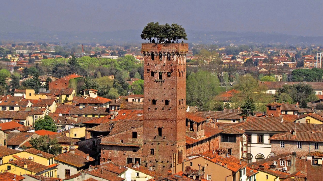 Photo of Others in Montignoso