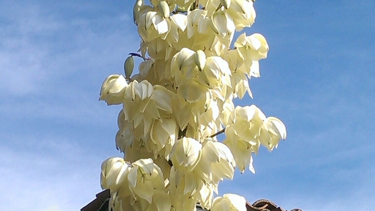 Photo of Outdoor in La Grand-Chile