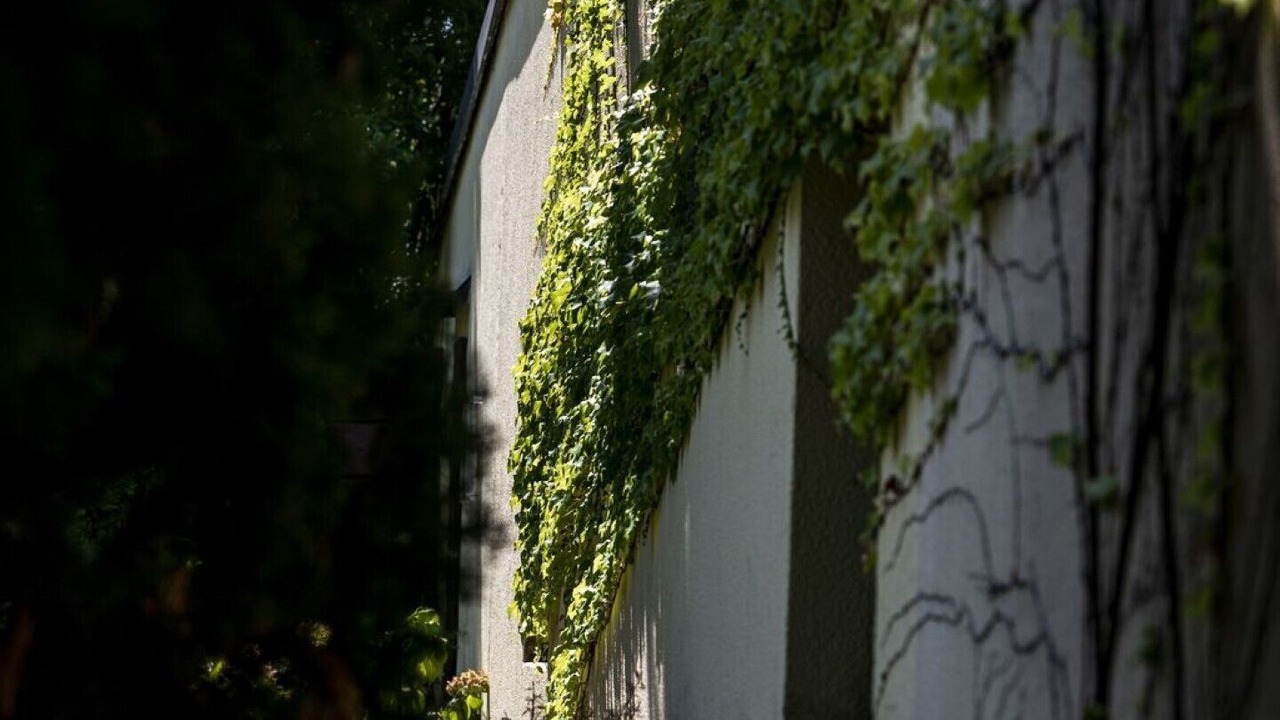 Photo of Outdoor in Portese