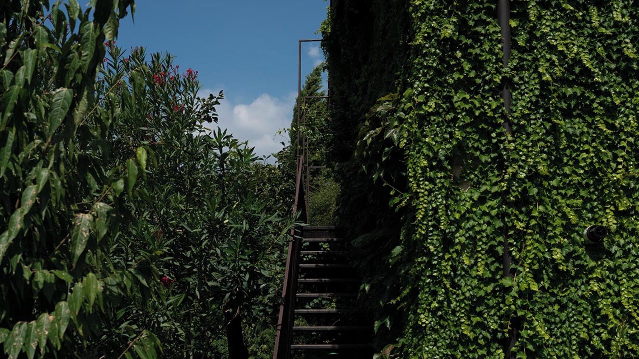 Photo of Outdoor in Portese