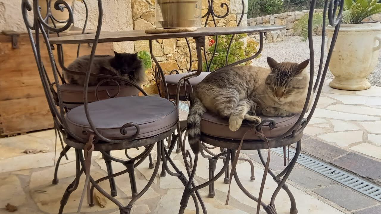 Photo of Outdoor in Fayence