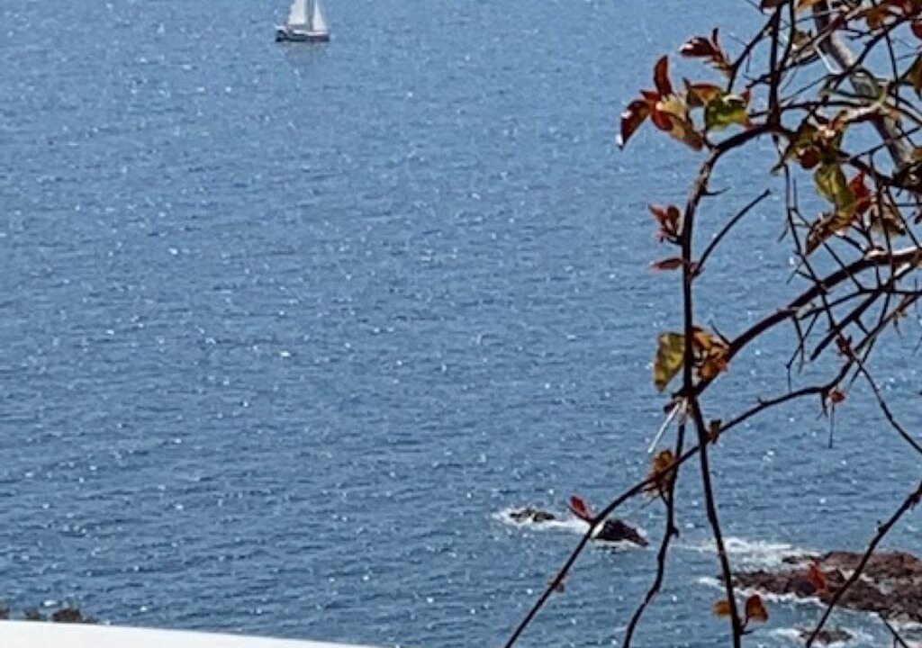 Photo of Outdoor in Antheor