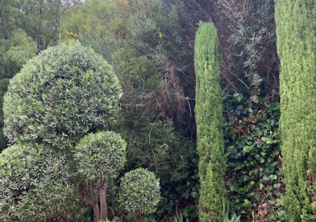 Photo of Outdoor in Antheor