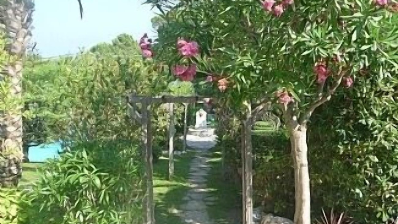 Photo of Outdoor in Mandelieu-La-Napoule