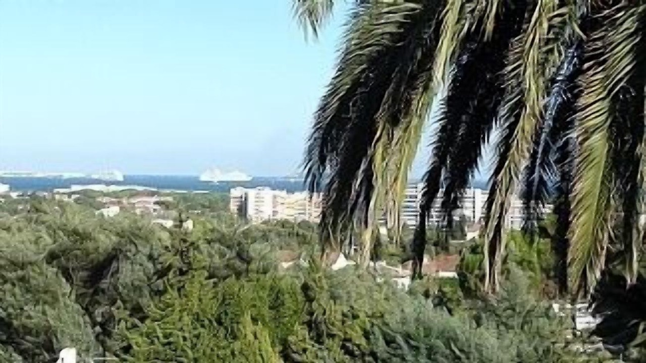 Photo of Others in Mandelieu-La-Napoule