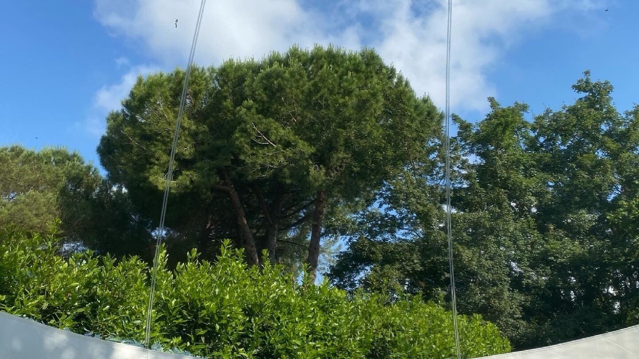 Photo of Others in San Giovanni alla Vena
