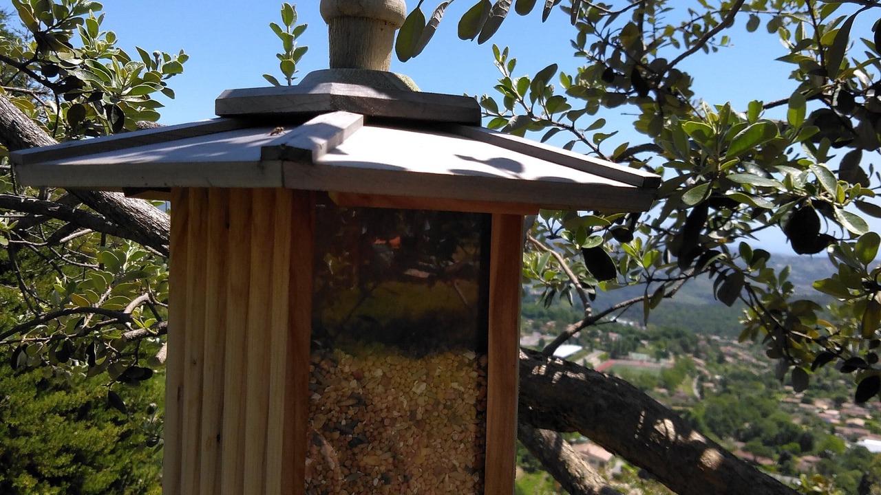 Photo of Outdoor in Saint-Jeannet