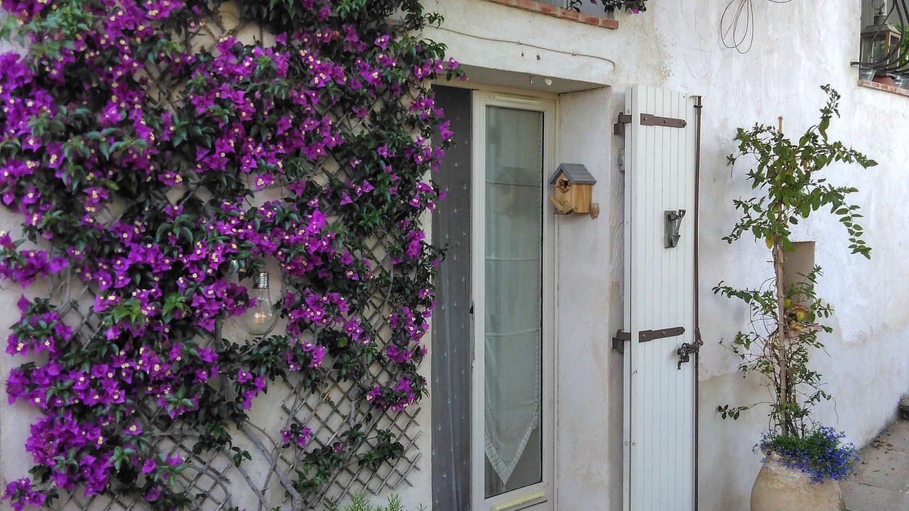 Photo of Outdoor in Saint-Jeannet