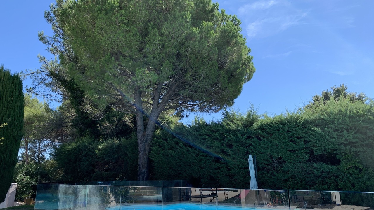 Photo of Outdoor in Biot