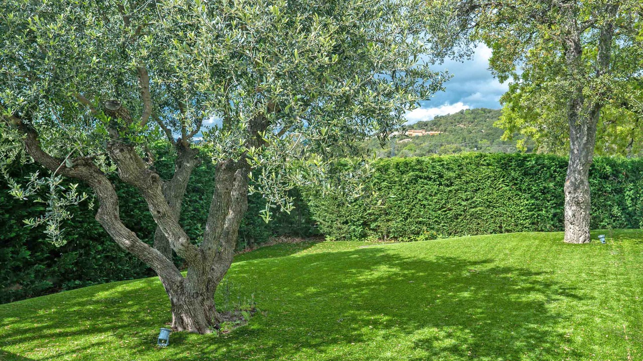 Photo of Outdoor in Les Restanques