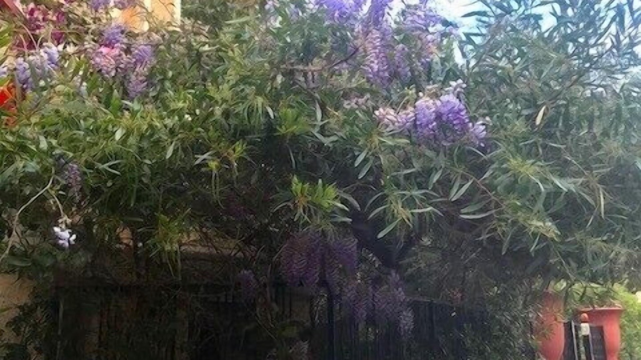 Photo of Outdoor in Juan-les-Pins