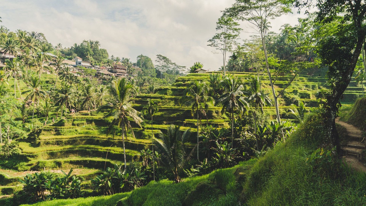 Photo of Outdoor in Pererenan