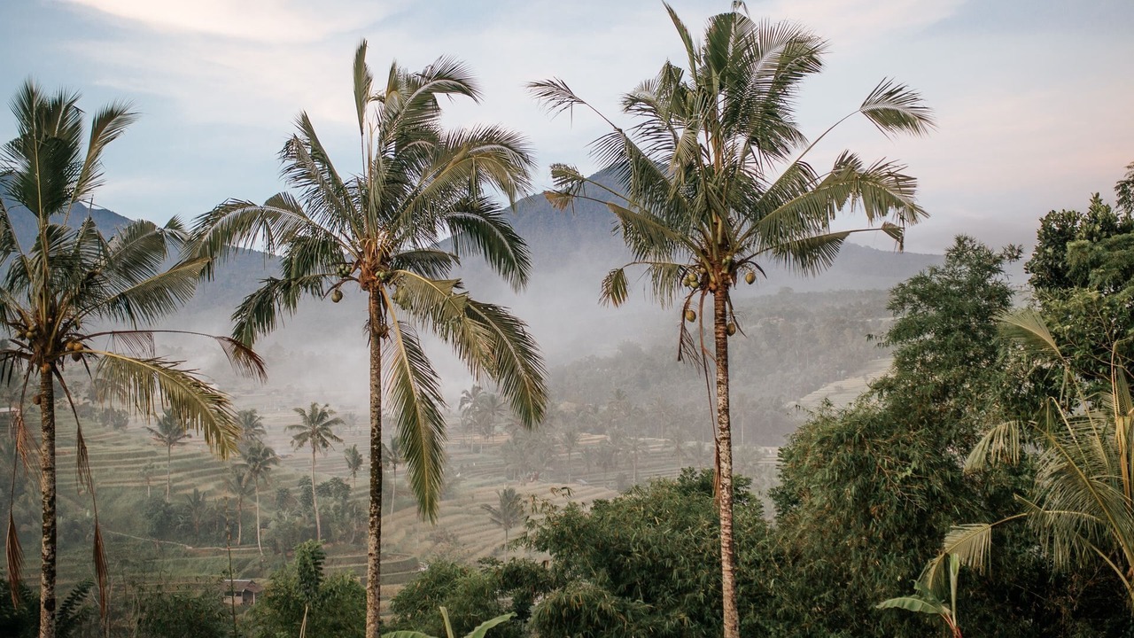 Photo of Outdoor in Sawangan