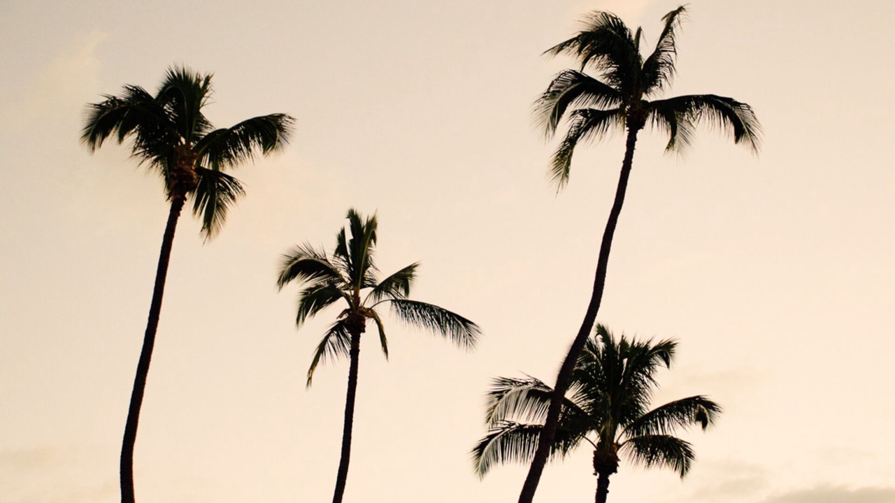 Photo of Others in Sanur