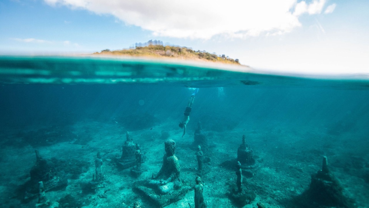 Photo of Others in Mushroom Bay