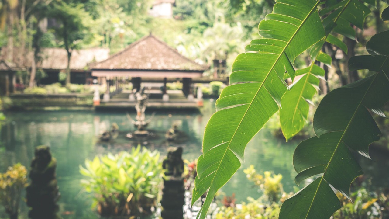 Photo of Outdoor in Ubud City-Centre