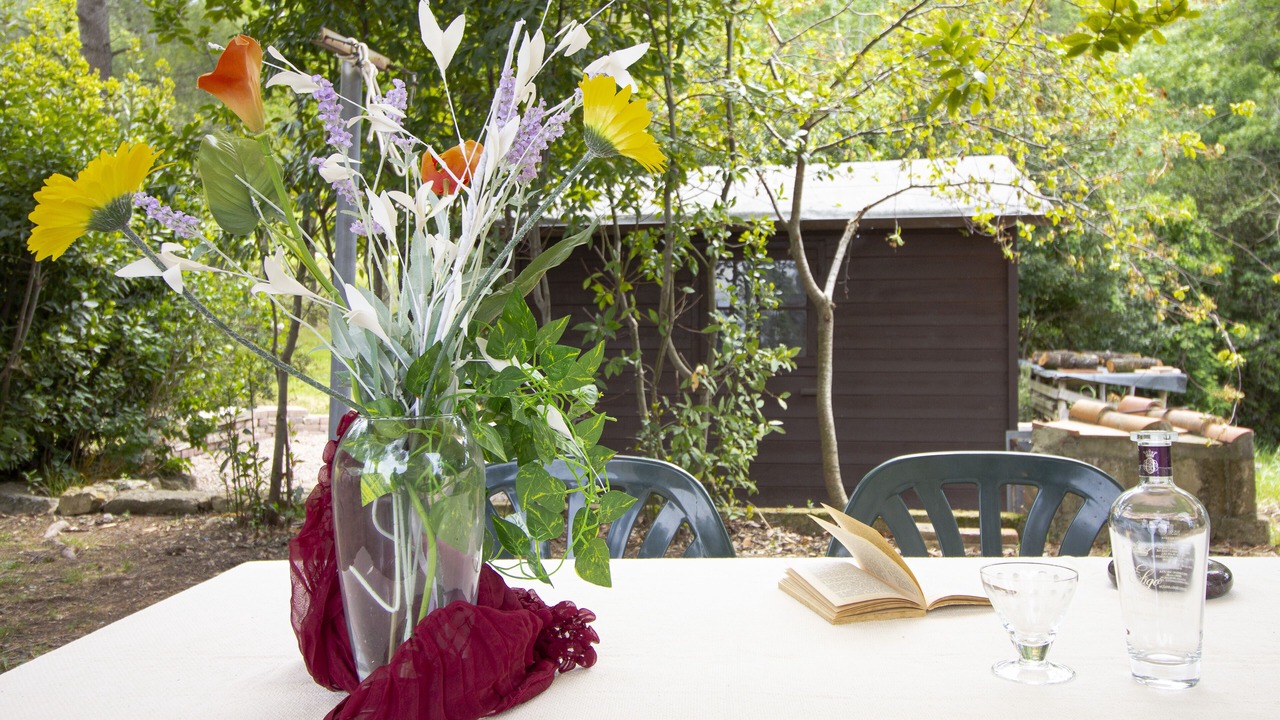 Photo of Outdoor in Castellina Marittima