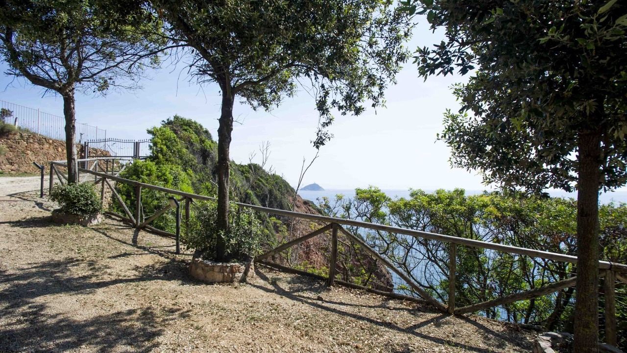 Photo of Outdoor in Rio Marina