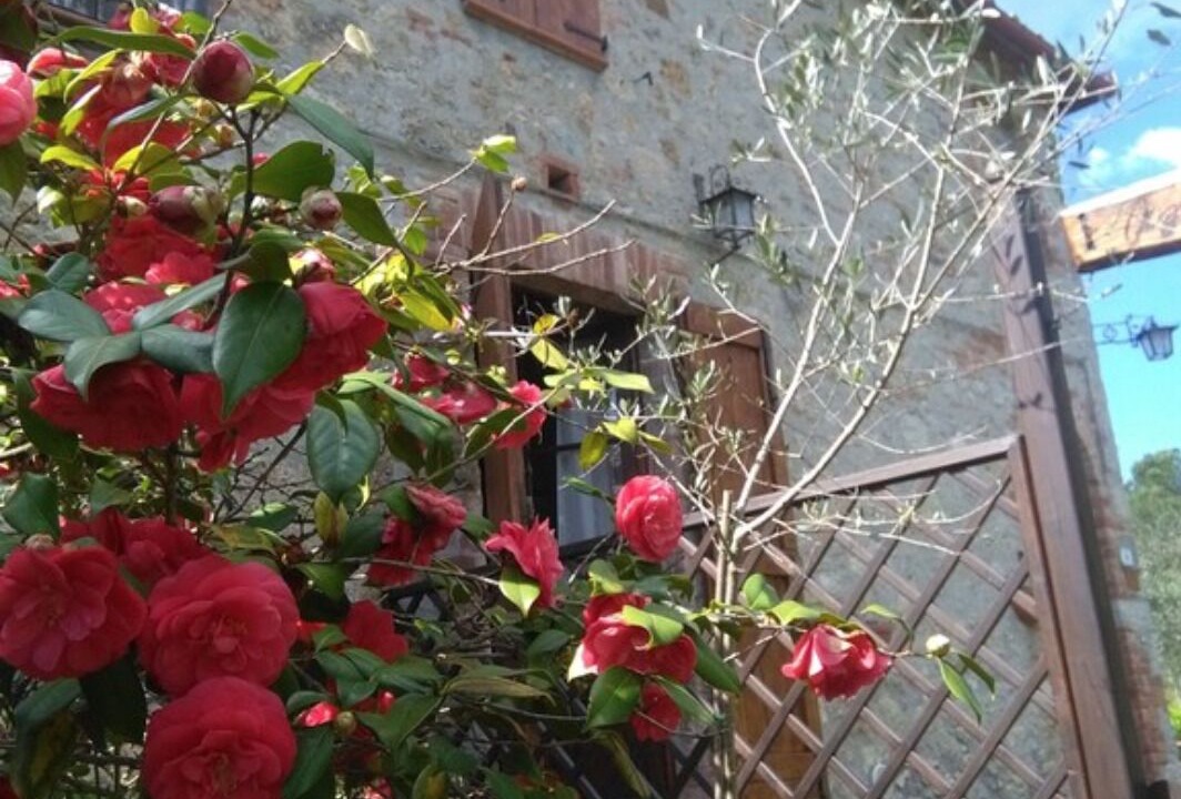 Photo of Outdoor in Murlo