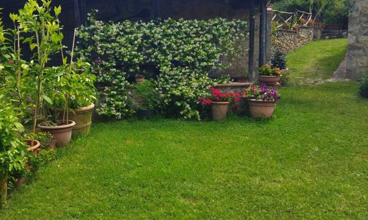 Photo of Outdoor in Murlo