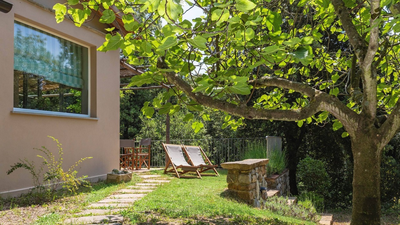 Photo of Outdoor in Pomaia