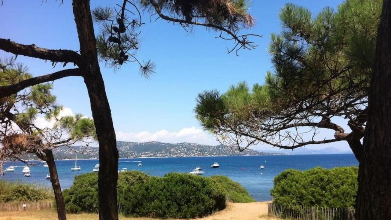 Photo of Others in Sainte-Maxime City Centre