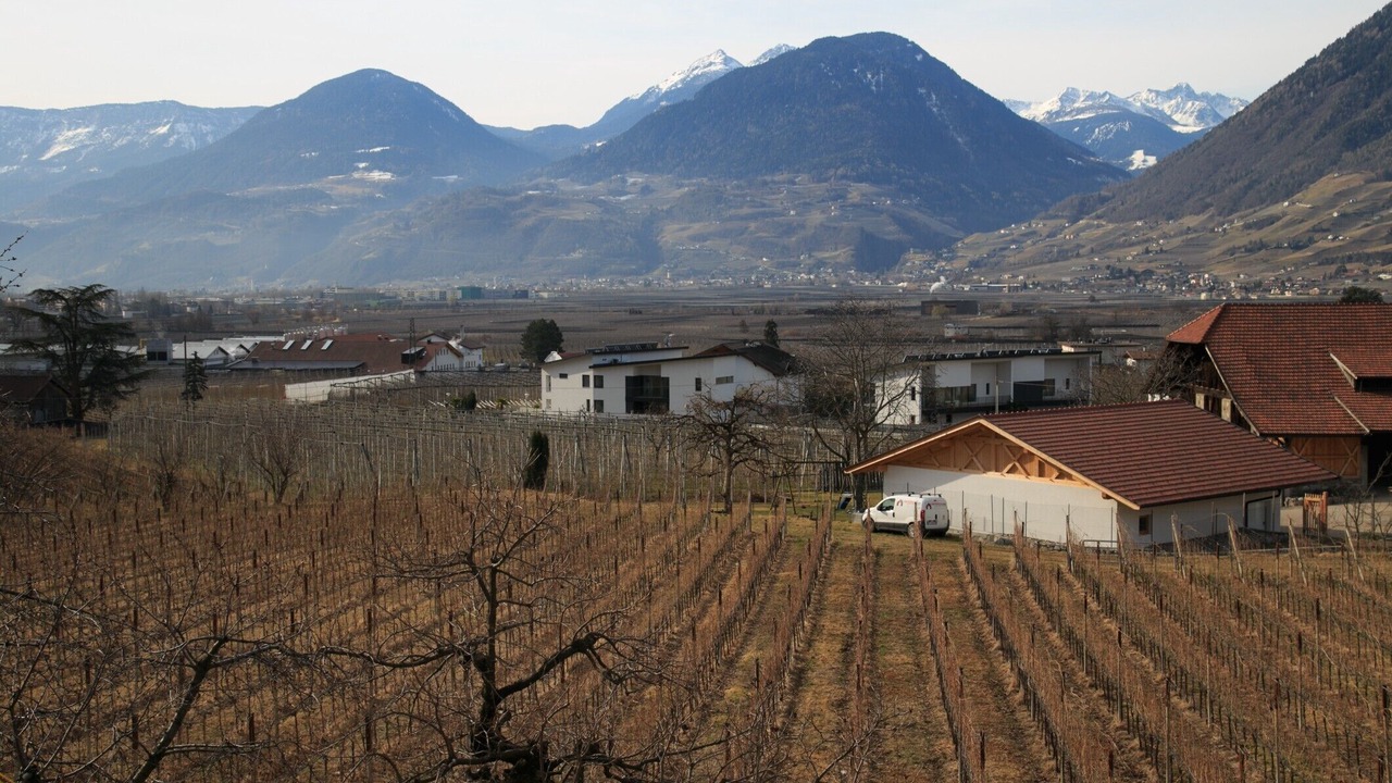 Photo of Others in Merano