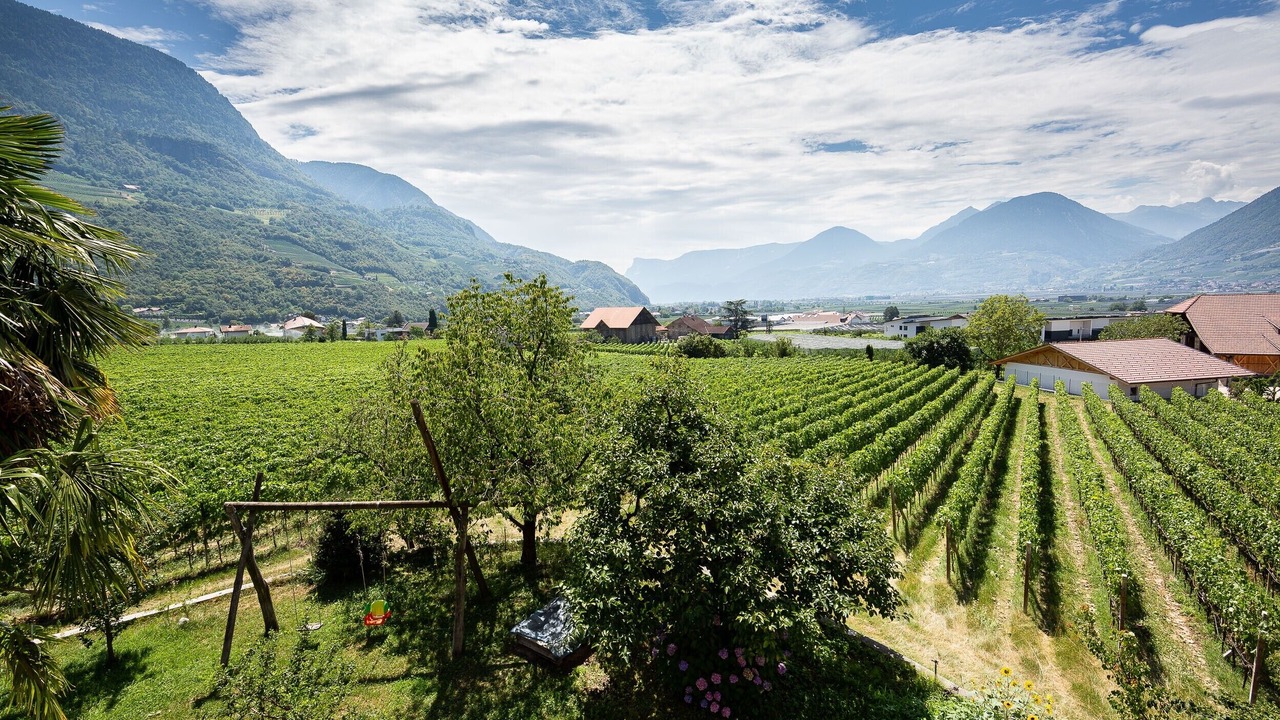 Photo of Others in Merano