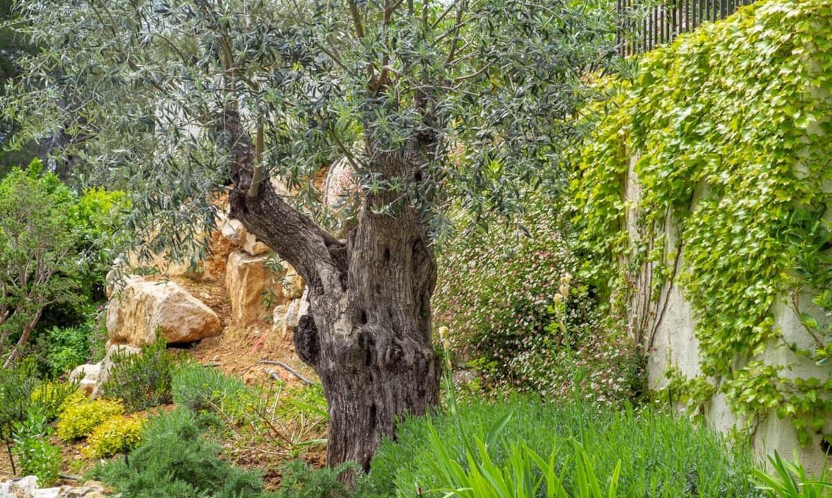 Photo of Others in La Colle-sur-Loup
