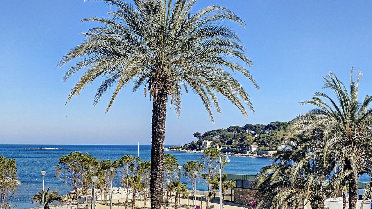 Photo of Outdoor in Cap-d'Antibes