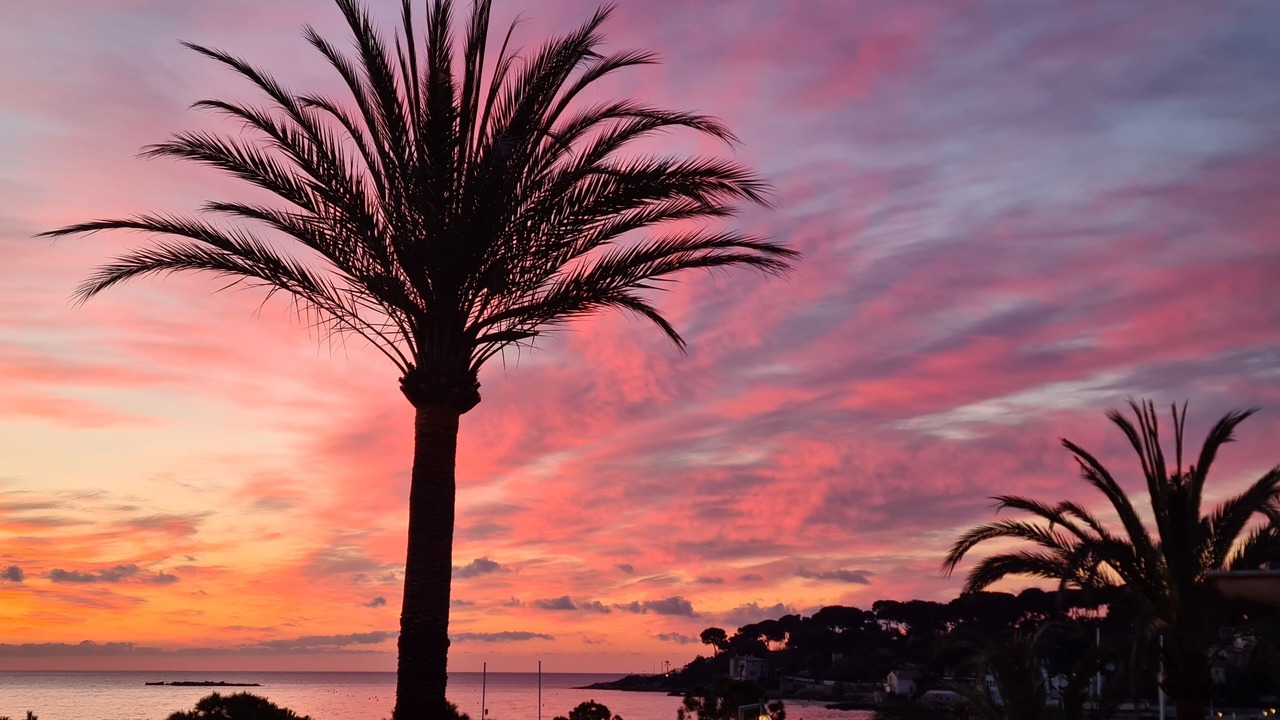 Photo of Others in Cap-d'Antibes
