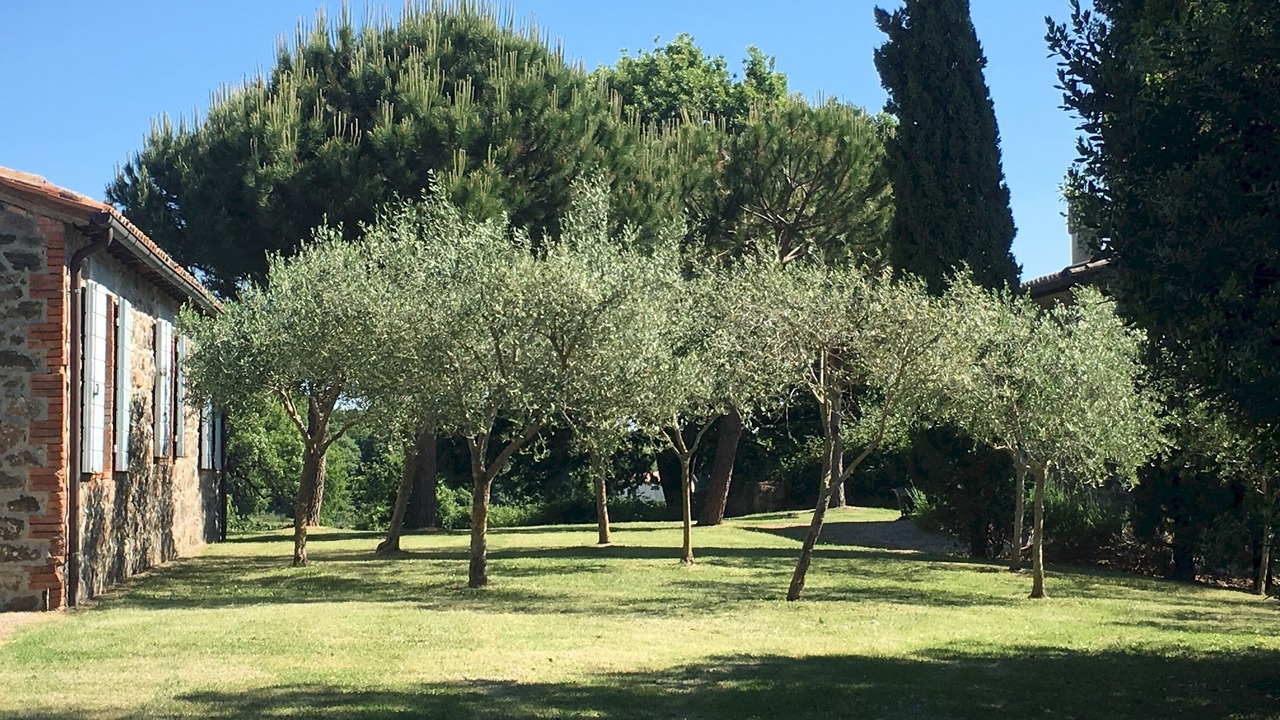 Photo of Outdoor in Acquapendente