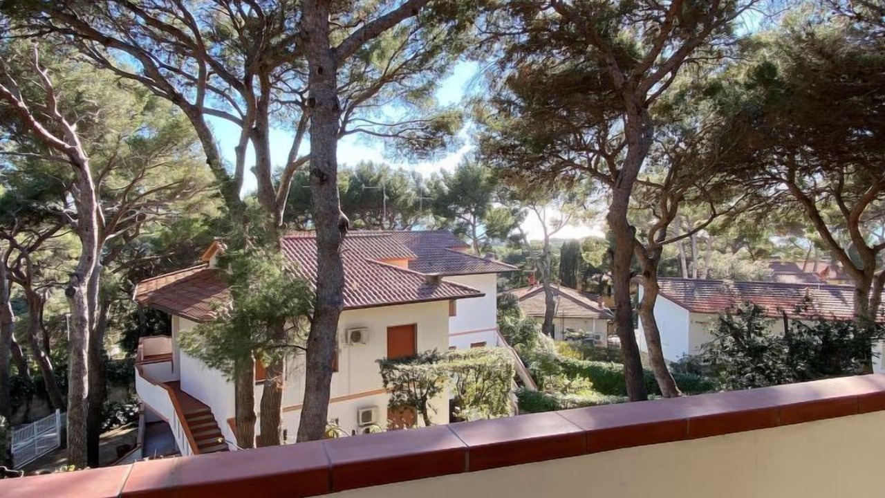 Photo of Others in Castiglioncello