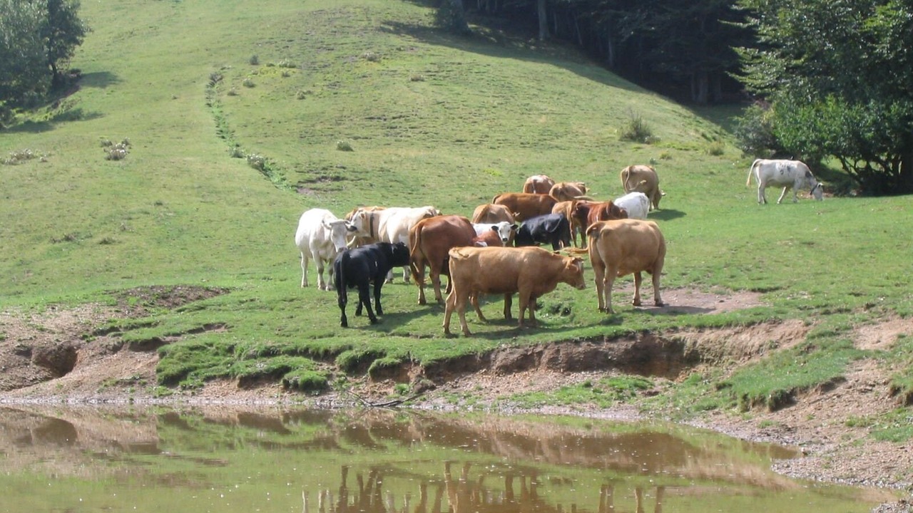 Photo of Others in Villabuona