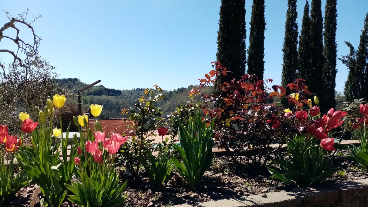 Photo of Outdoor in Montecastello