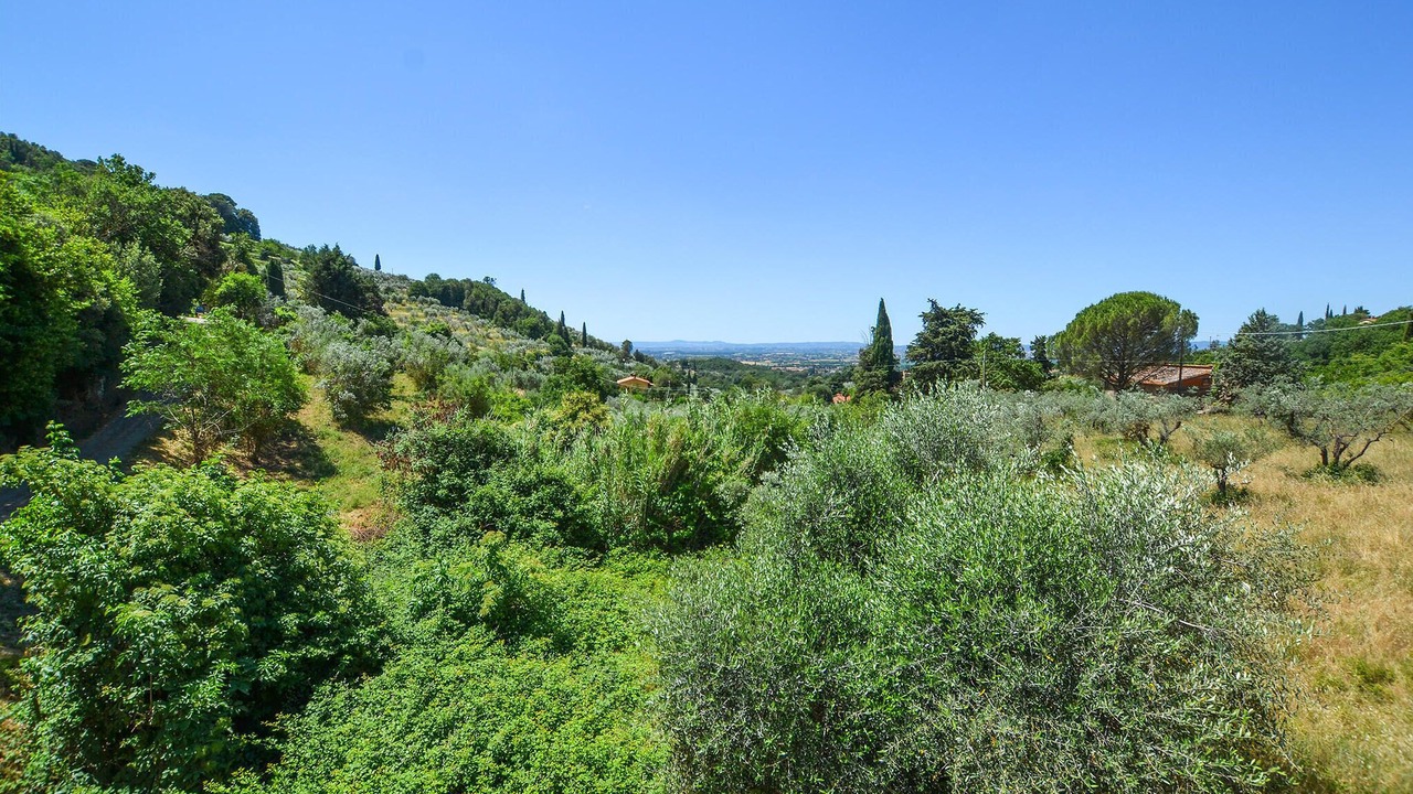 Photo of Others in Castiglion Fiorentino