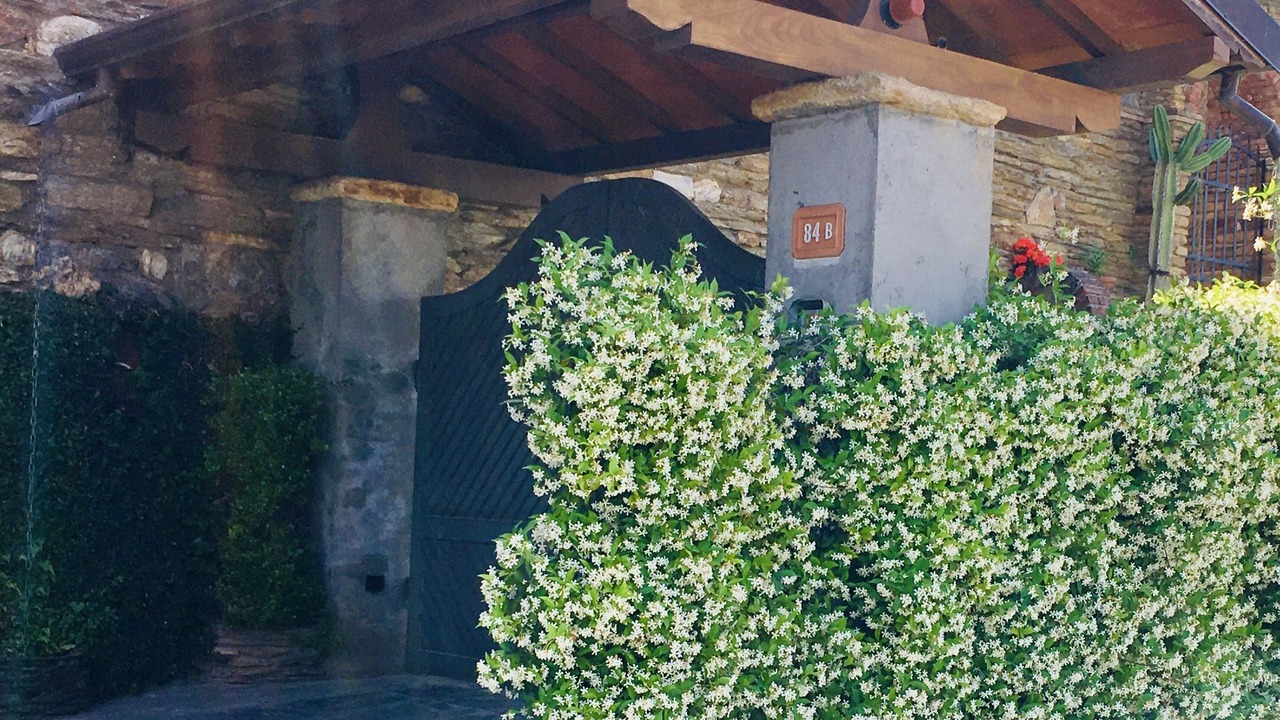 Photo of Outdoor in Massa