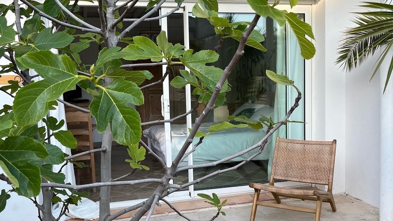 Photo of Outdoor in Les Issambres