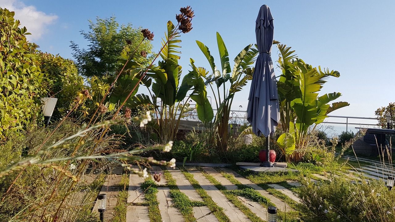 Photo of Outdoor in French Riviera