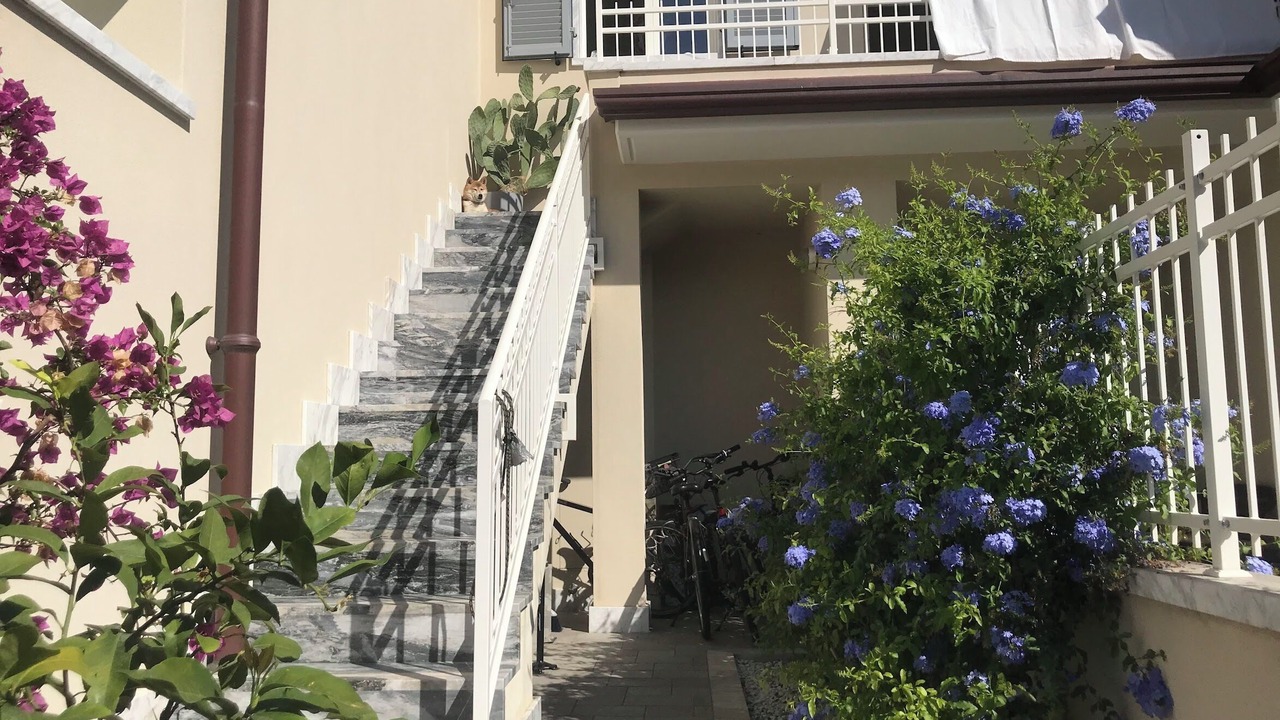 Photo of Outdoor in Marina di Carrara