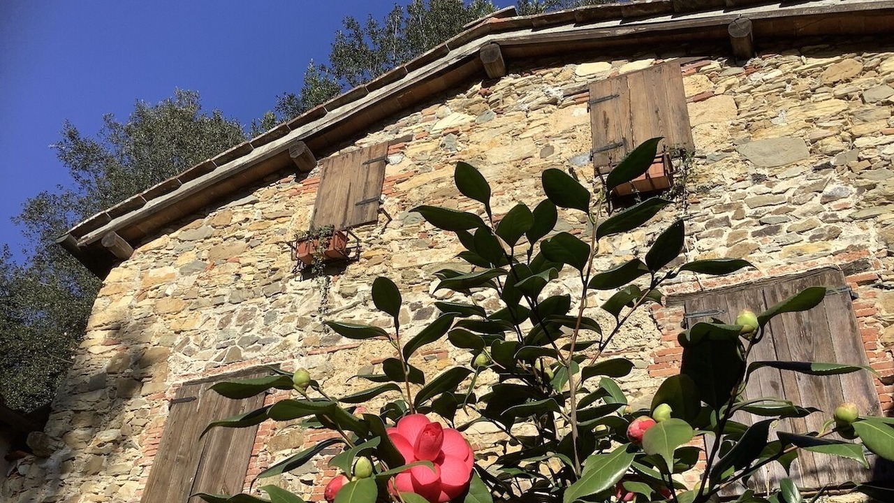 Photo of Outdoor in Villabuona