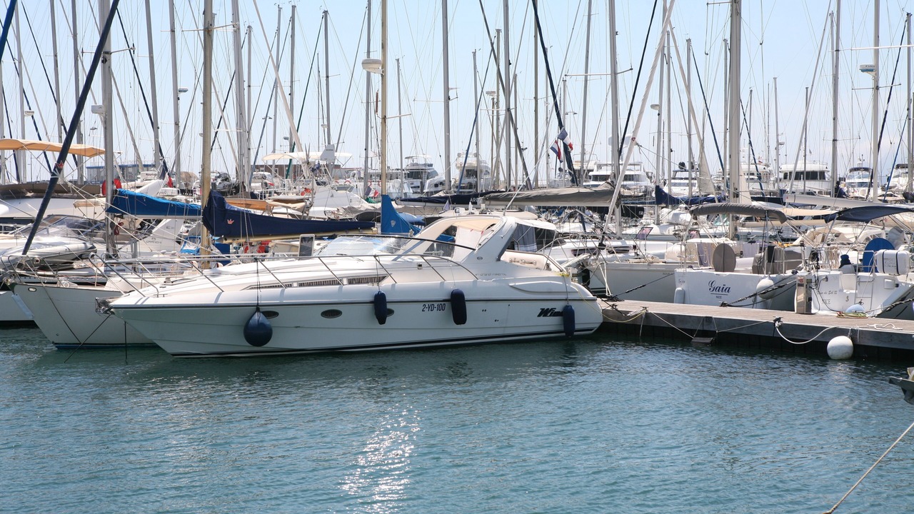 Photo of Others in Le Suquet